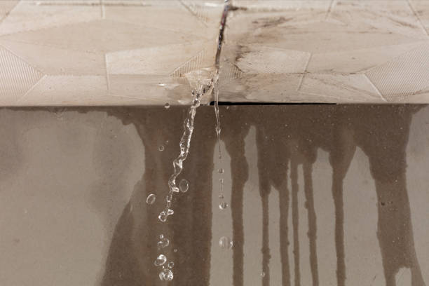 Professional Structural Drying technician working in Dawes, WV